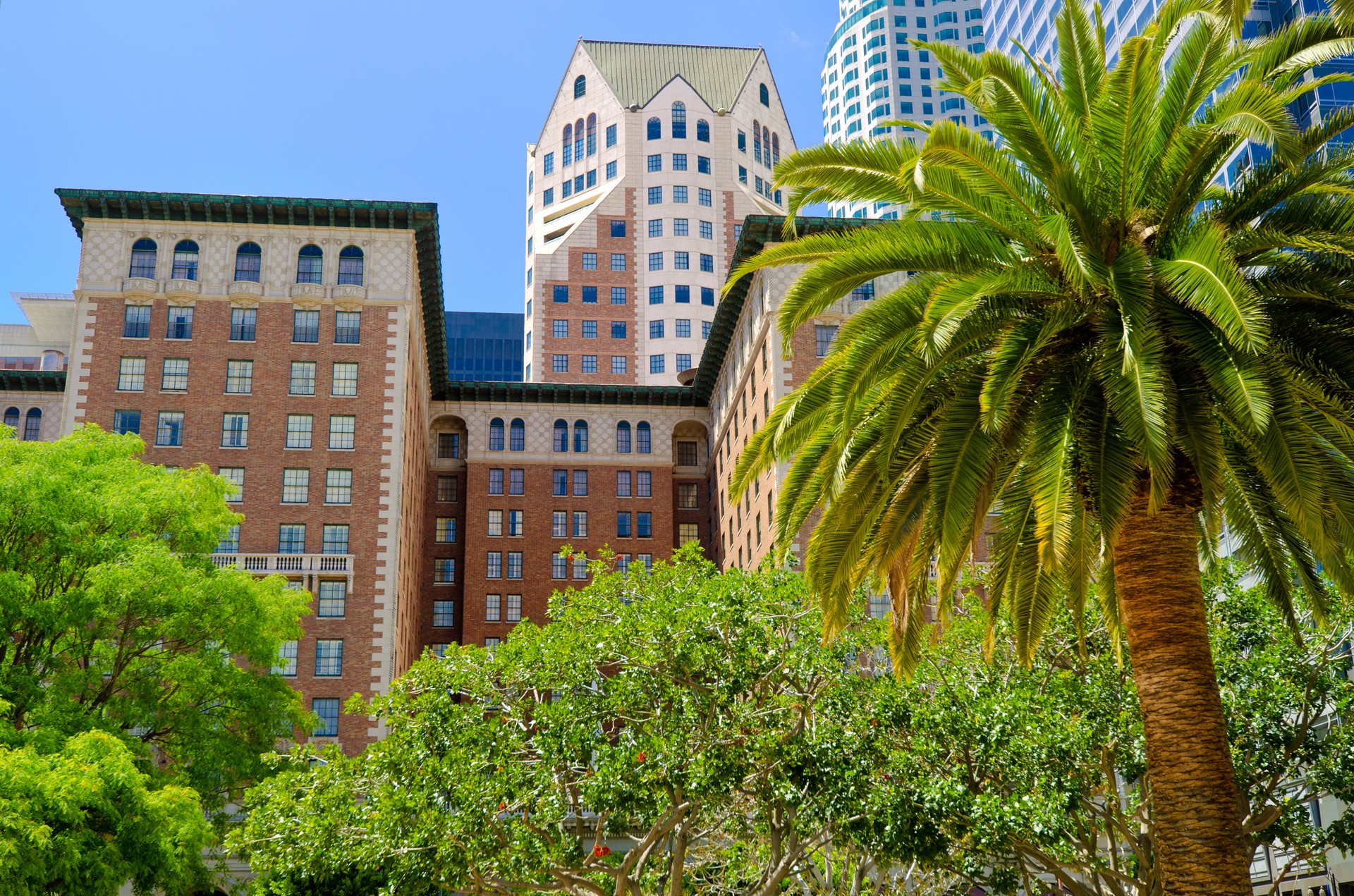 Millennium Biltmore Hotel with palm tree